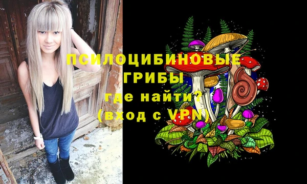 бошки Зерноград