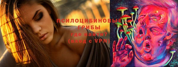 бошки Зеленокумск