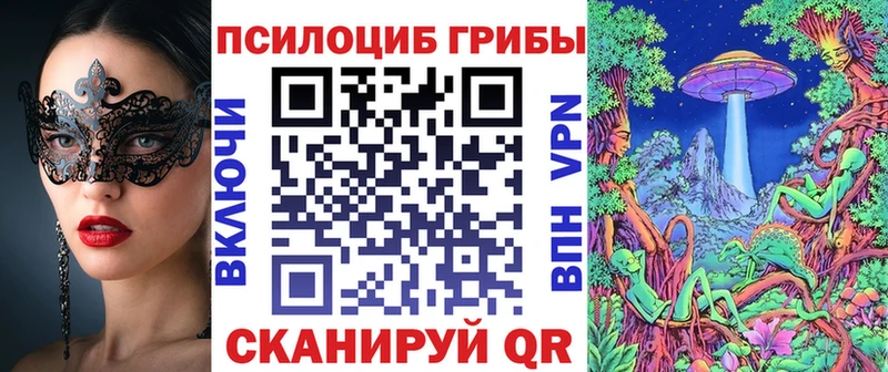 Галлюциногенные грибы Psilocybe  Купить закладки  Ирбит 